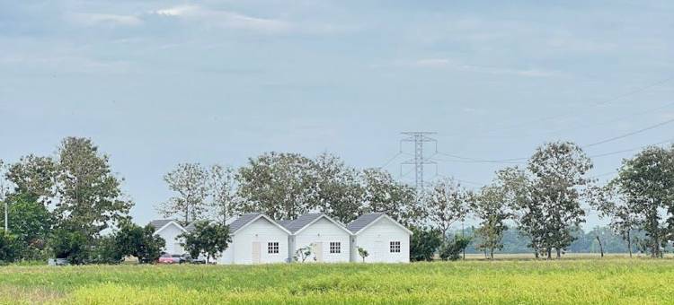 D Paddy HR旅馆(D Paddy HR Guest House)图片