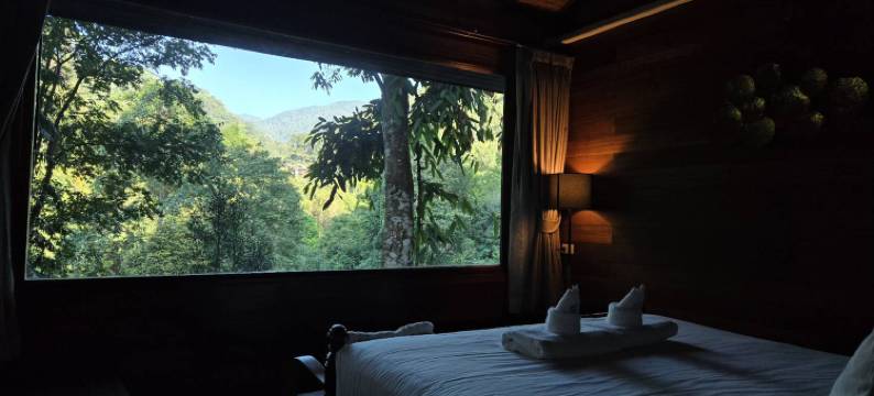 波塔瑞之家(Portare.home Mae Kampong)图片