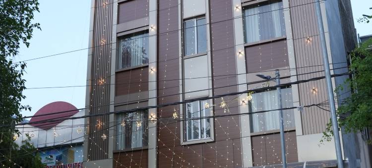 绿色宫殿酒店(Hotel Green Palace)图片