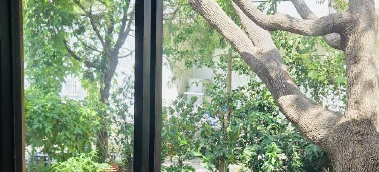 Cabin｜Private Detached Cabin图片