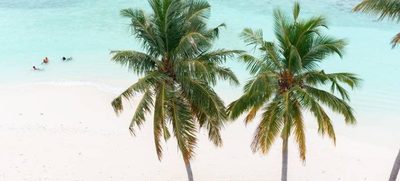 巴阿沙马尔代夫(Baa Sand Maldives)图片