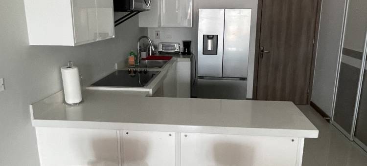金斯敦乔伊庄园豪华公寓(Joy Luxury Estate Kingston)图片