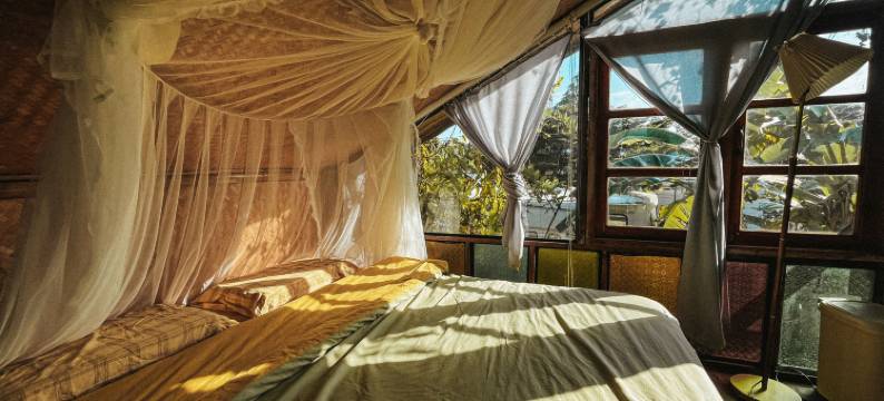 Yidan’s Permaculture Farm stay图片