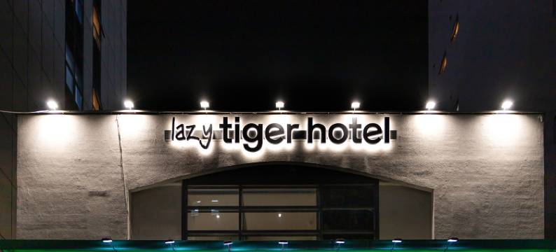 懒虎酒店(lazy tiger hotel)图片
