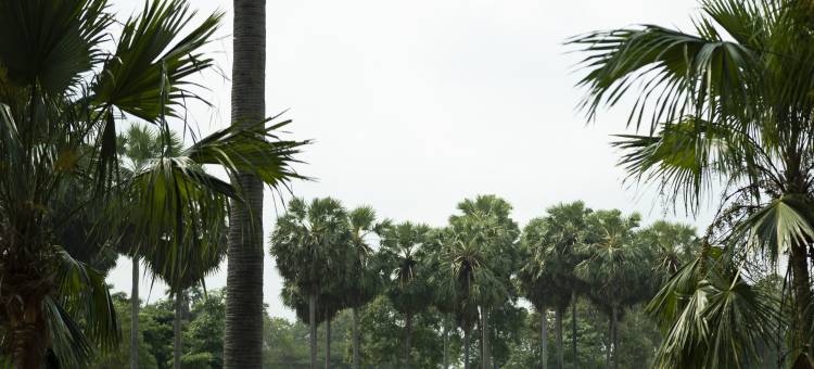 Royal Rayong Residence图片