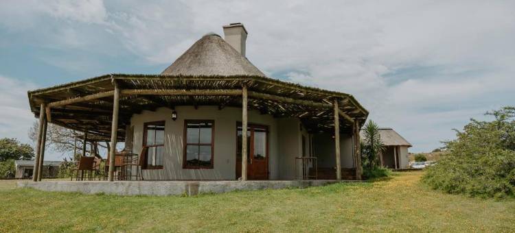 何洛西娱乐旅馆(Hlosi Game Lodge - Amakhala Game Reserve)图片
