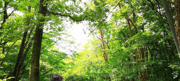 Private Cabin-Perfect for families, large groups!图片