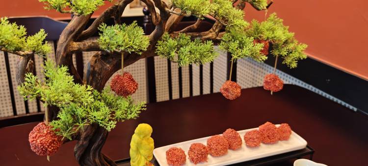 拉各斯君悦酒店(中式三餐及服务·穆尔塔拉·穆罕默德国际机场)(JUN YUE Ikeja Lagos hotel)图片