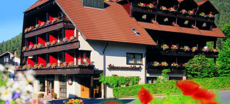 斯切瓦兹德霍夫酒店(Hotel Restaurant Schwarzwaldhof)图片