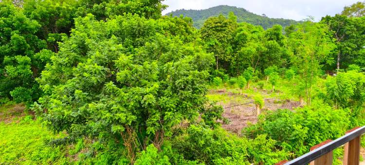 拉布安巴霍绿山 by ABM(Green Hill Labuan Bajo by ABM)图片