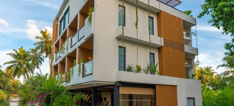 鲸鲨精品酒店(Whale Shark Boutique)图片