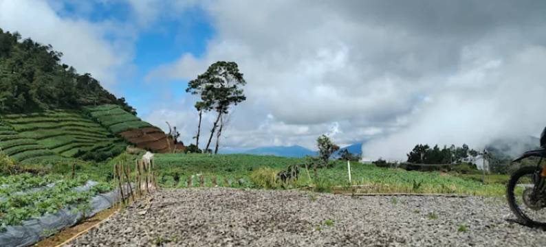 帕当萨里小屋2(Padangsari Cabin 2)图片