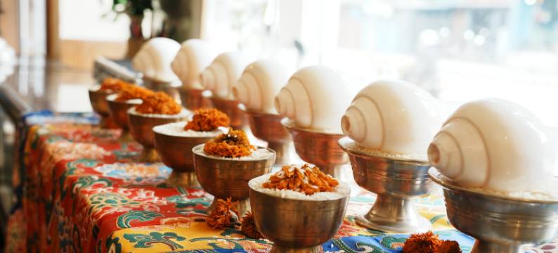 达尔文酒店(Hotel Darwin)图片