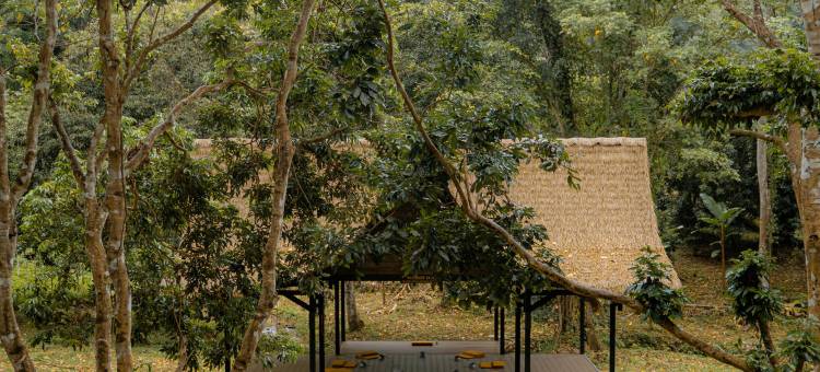 iRETREAT 丛林幸福 Pa Pae(iRETREAT Jungle Bliss, Pa Pae)图片