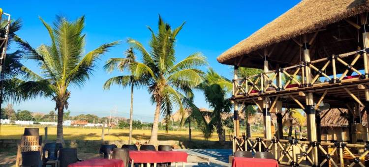 岩石上的国王(The King On The Rocks)图片