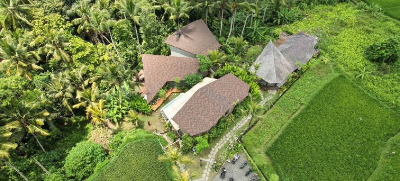 乌布树之家(Casa Pohon Ubud)图片