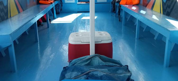Bunaken Island 1 time Diving and 1 point snorkeling图片