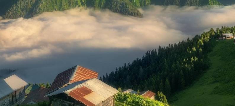 艾德尔酒店(Ayder Hotel)图片