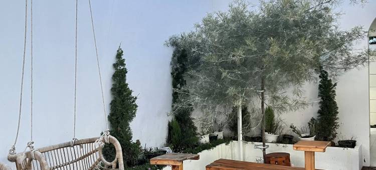 Green white Resort & Cafe图片