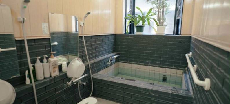 金绿草膳宿旅馆(Pension Green Grass)图片