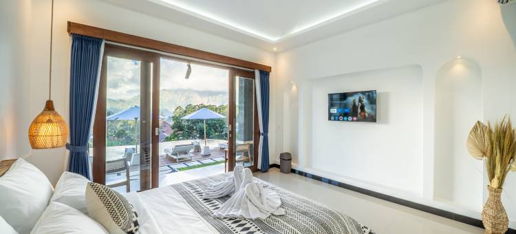 汉兹金塔马尼别墅(The Hanz Villa Kintamani)图片