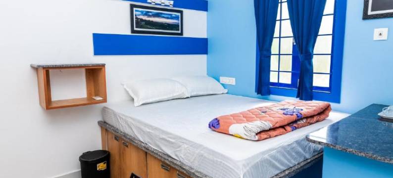 Panism Lifestyle图片