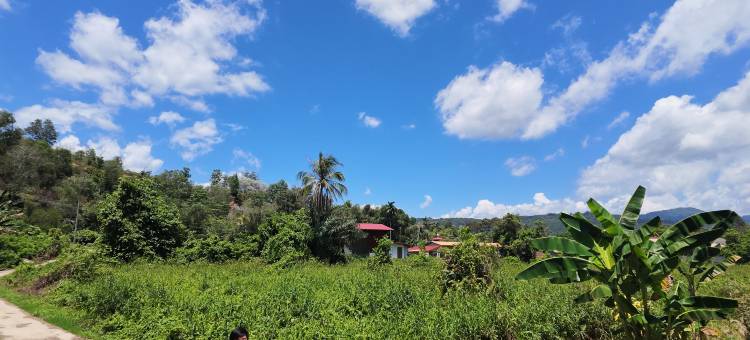 Homestay House on the Hill - Tamparuli图片