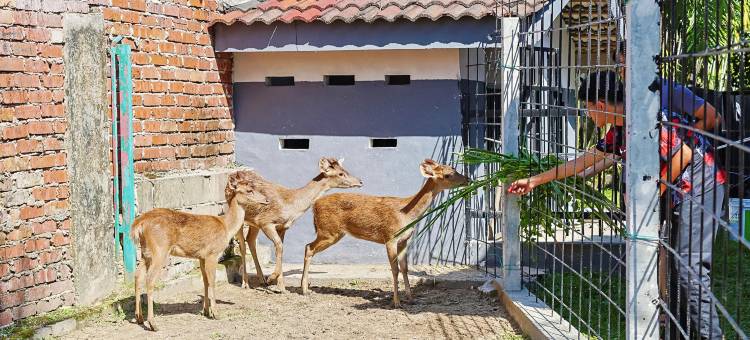 位于怡保Thompson的巴厘风情民宿, DAWA Brickhouse (Ryokan管理)(DAWA Brickhouse - Balinese Guesthouse in Thompson Ipoh by Ryokan Management)图片