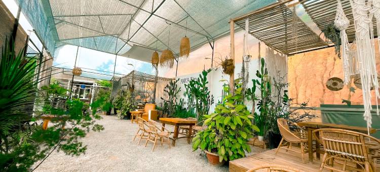 阿米卡杰农场(Amikaje Farm)图片