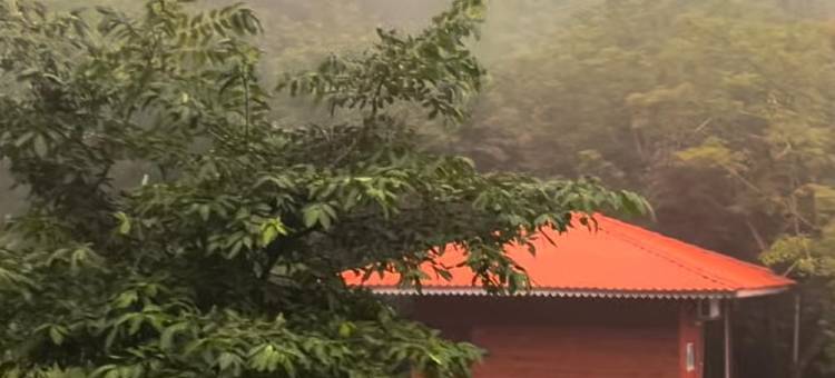 Nature Hill的LeafyDen森林小屋(Leafyden Forest Cottages)图片