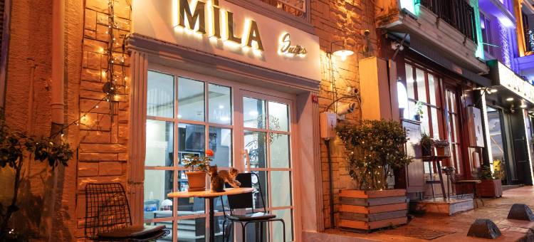 米拉套房塔克西姆(MİLA SUİTES TAKSİM HOTEL)图片