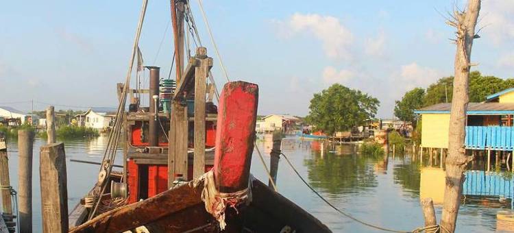 海狮吧罗吉岛平房民宿(Sea Lion Bungalow Homestay Pulau Ketam)图片