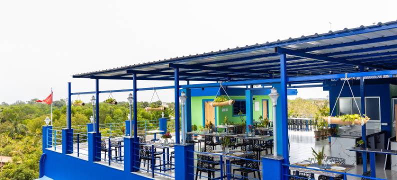 Panism Lifestyle图片