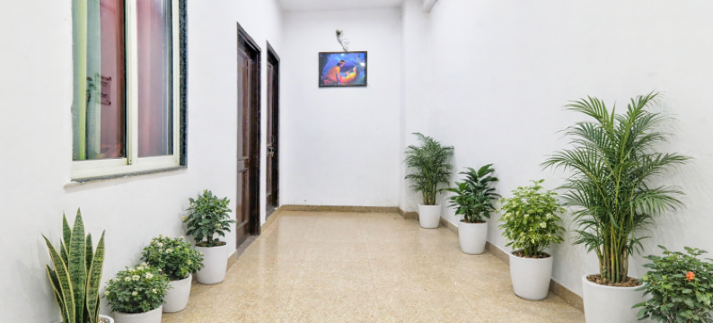 Hotel Brij Stone- Vrindavan图片