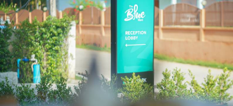 蓝色马维酒店(The Blue Mavi Hotel)图片