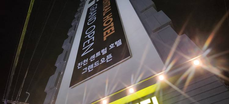Jincheon Central Business Hotel图片