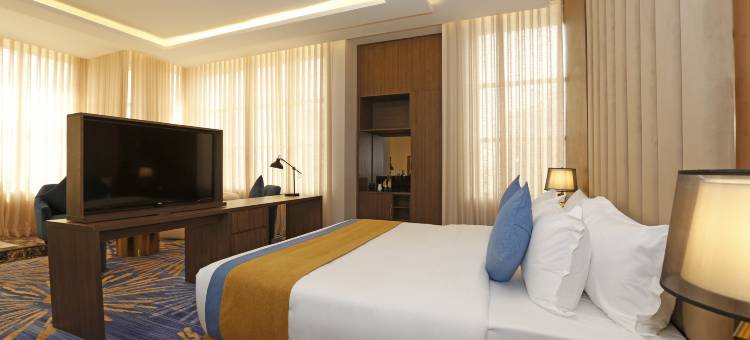 利雅得诺沃酒店(Novo Hotel)图片