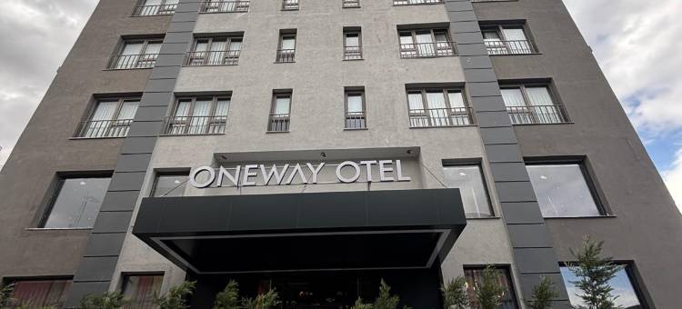 单程(One Way)图片