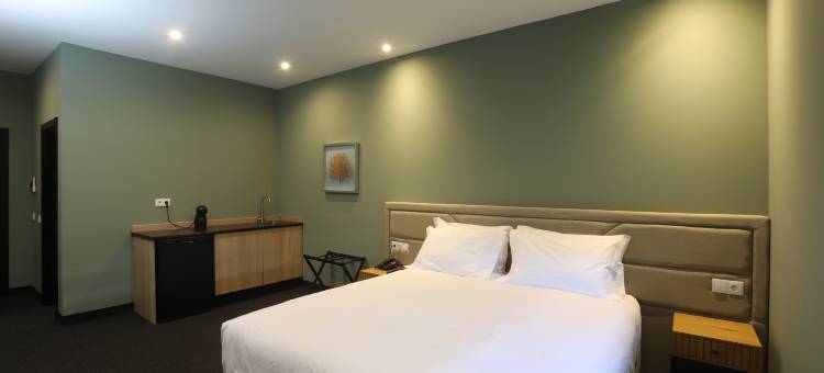 阿尔布费拉休闲酒店(Albufeira Lounge Hotel)图片