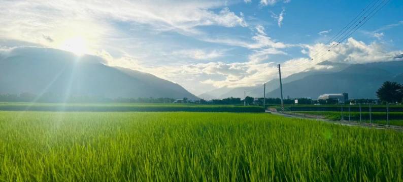 蓝天山丘池上馆民宿图片