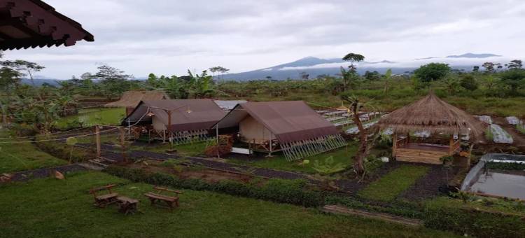 爪哇德维帕别墅(Jawa Dwipa Villa)图片