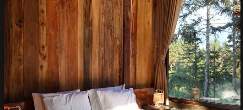 Balana HaGiang图片