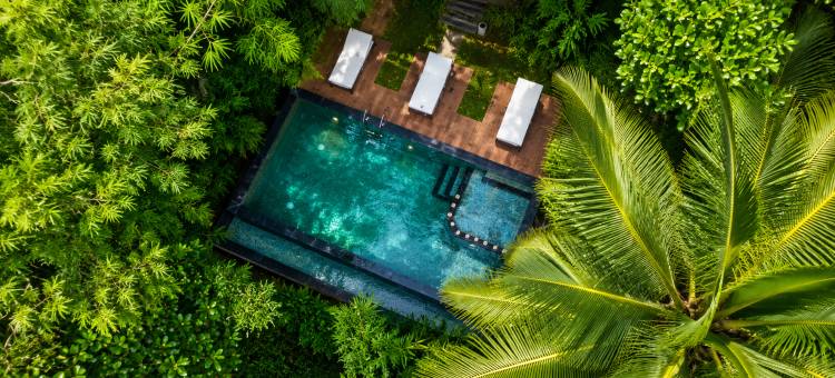 甘露荟·多米尼克瓦亚纳德自然生态度假与水疗中心(Amritara Dominic's Nature Retreat & Spa Wayanad)图片