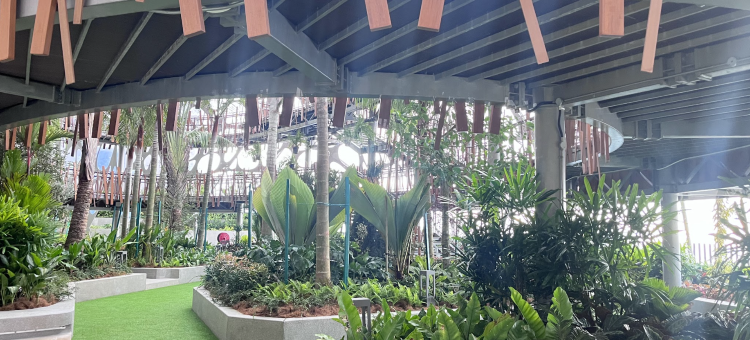 Antara Genting Highlands AT The Hill Top图片