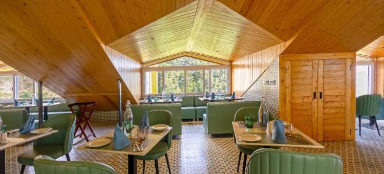 斯特林阿美瑞斯卡绍利(Sterling Ameris Kasauli)图片