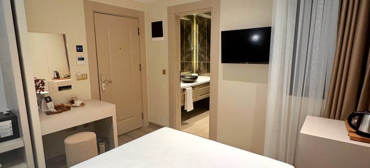 柏悦德德曼希什利(Park Dedeman Sisli)图片