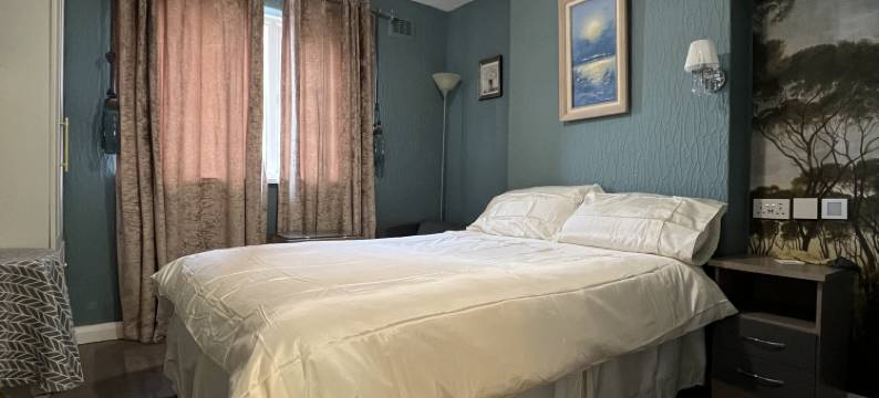 市中心温馨公寓(免费停车)(Cozy Flat near the City Centre with Free Parking)图片