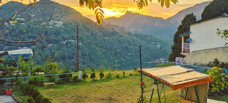 Prashant Homestay Nainital: Orchard图片