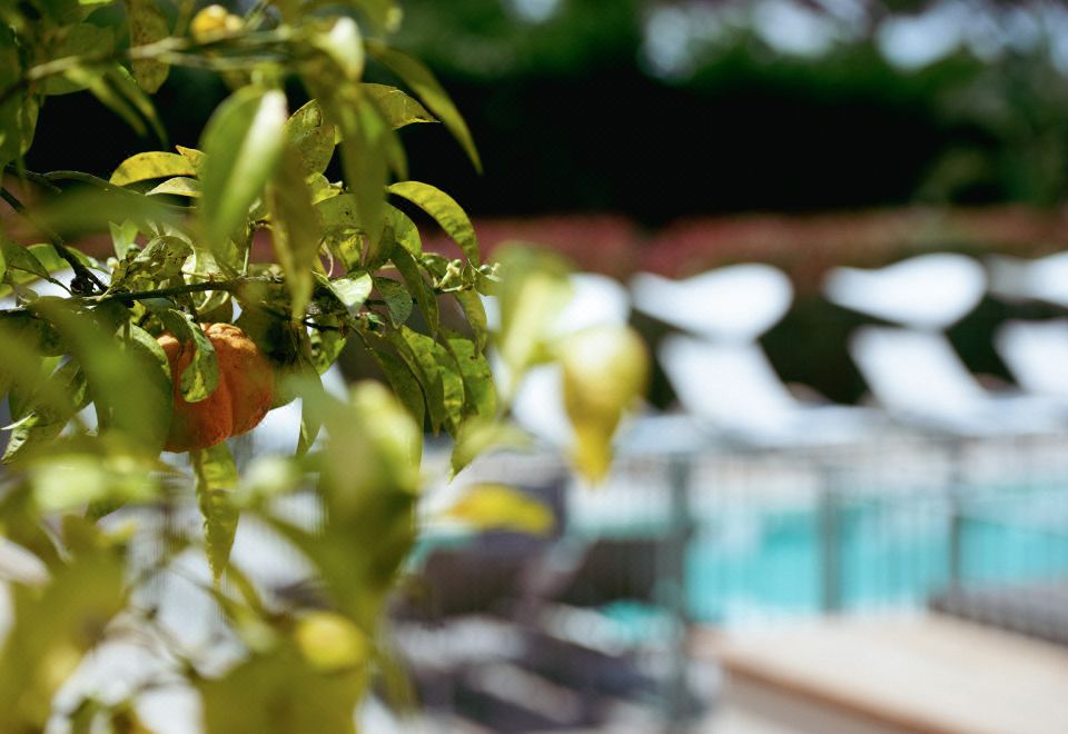 Hotel Villa Fabulite Over view