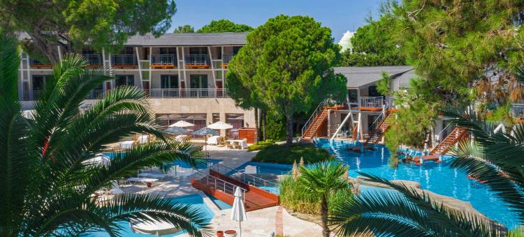 帕洛玛森西亚(Paloma Sencia)图片